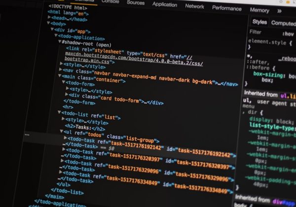 Website code shown in a browser's developer tools, representing the Regional Logistics Portal project